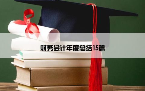 财务会计年度总结15篇