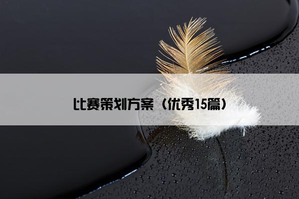 比赛策划方案（优秀15篇）