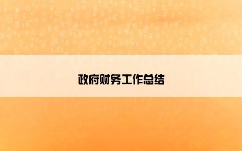 政府财务工作总结