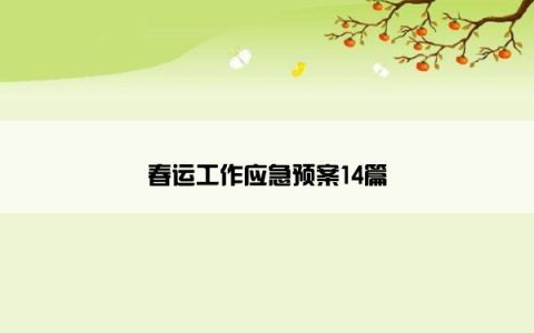 春运工作应急预案14篇