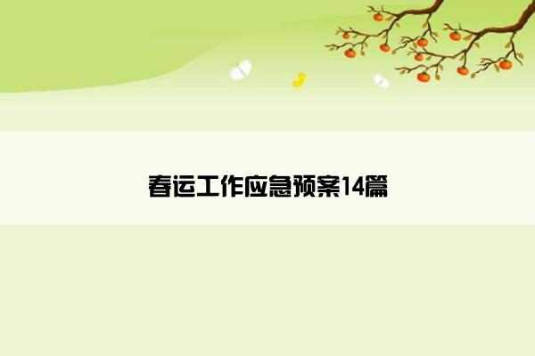 春运工作应急预案14篇