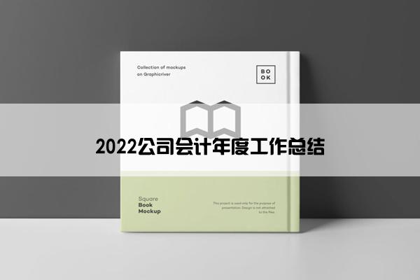 2022公司会计年度工作总结