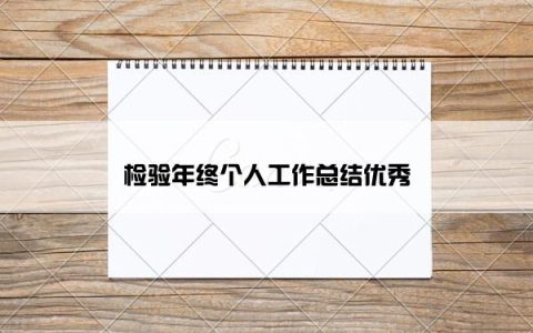 检验年终个人工作总结优秀