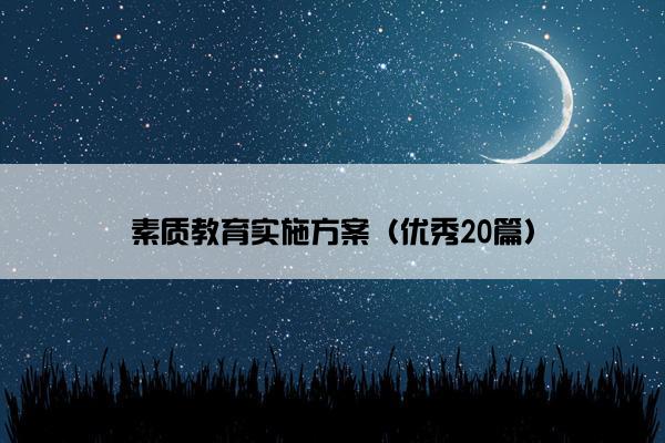 素质教育实施方案（优秀20篇）