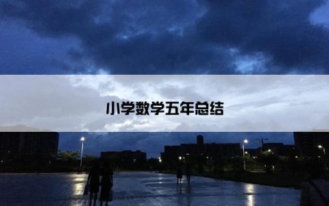 小学数学五年总结
