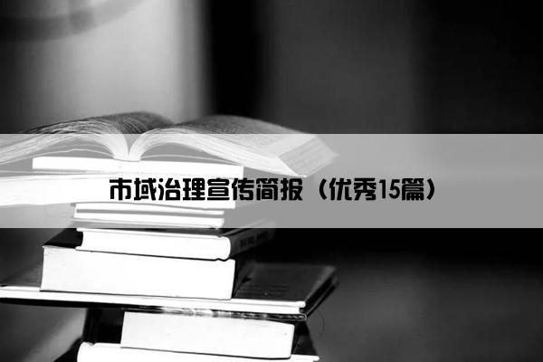市域治理宣传简报（优秀15篇）