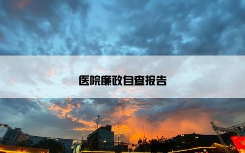 医院廉政自查报告