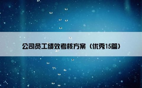 公司员工绩效考核方案（优秀15篇）