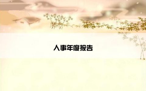人事年度报告