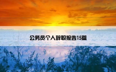 公务员个人辞职报告15篇