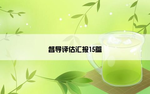 督导评估汇报15篇