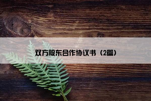 双方股东合作协议书（2篇）