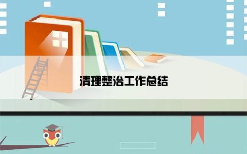 清理整治工作总结