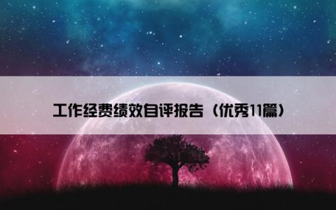 工作经费绩效自评报告（优秀11篇）