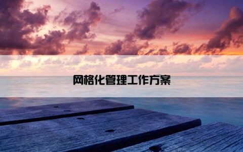网格化管理工作方案