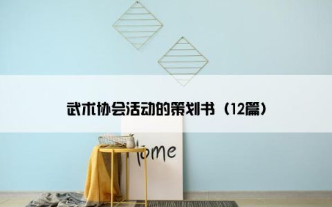 武术协会活动的策划书（12篇）
