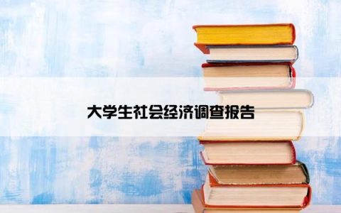 大学生社会经济调查报告