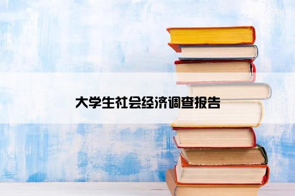 大学生社会经济调查报告