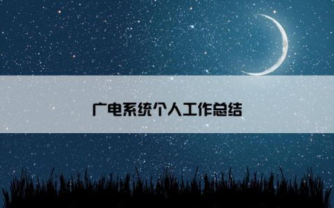 广电系统个人工作总结