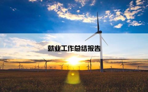 就业工作总结报告