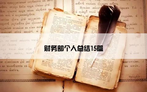 财务部个人总结15篇