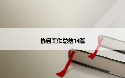 协会工作总结14篇