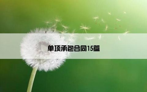 单项承包合同15篇