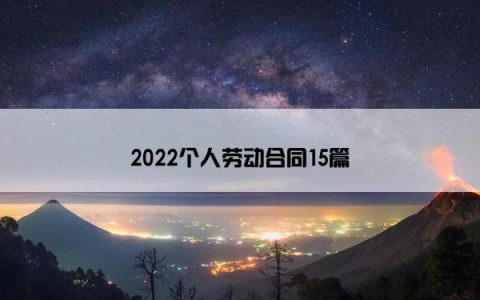 2022个人劳动合同15篇