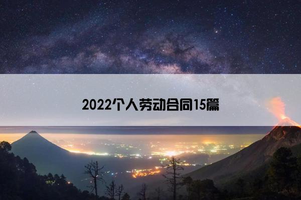 2022个人劳动合同15篇