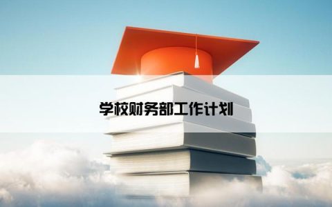 学校财务部工作计划