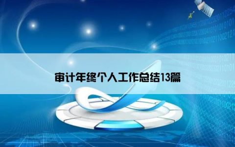审计年终个人工作总结13篇