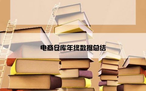 电商仓库年终数据总结