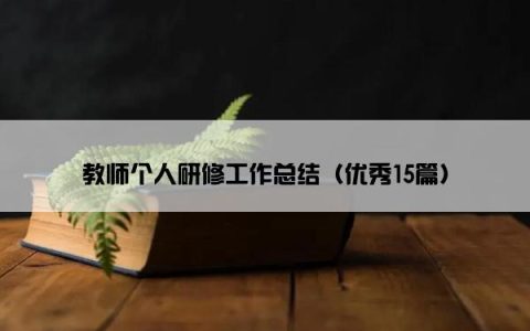 教师个人研修工作总结（优秀15篇）