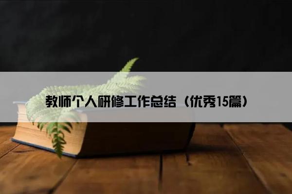 教师个人研修工作总结（优秀15篇）