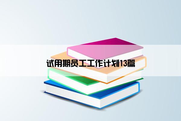 试用期员工工作计划13篇