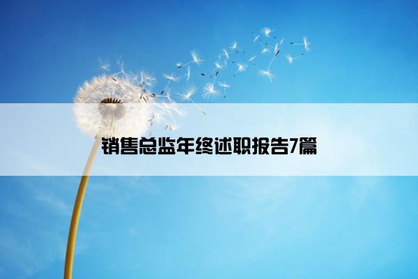 销售总监年终述职报告7篇