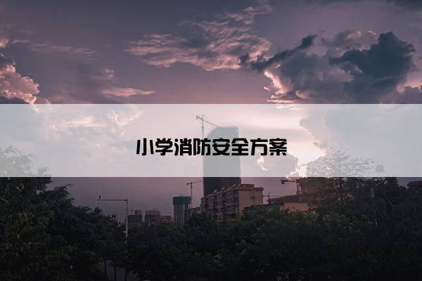 小学消防安全方案