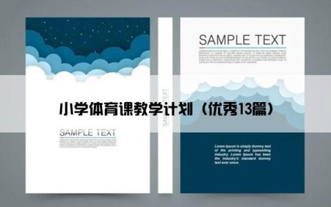小学体育课教学计划（优秀13篇）
