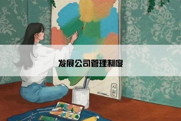 发展公司管理制度