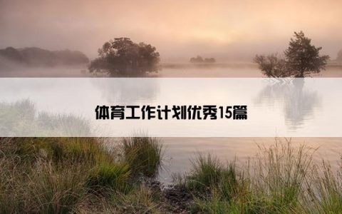 体育工作计划优秀15篇