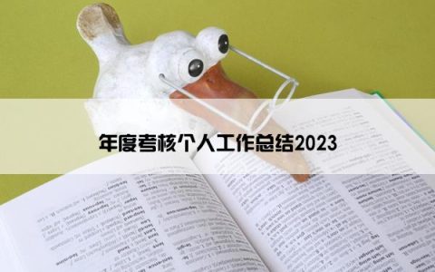 年度考核个人工作总结2023