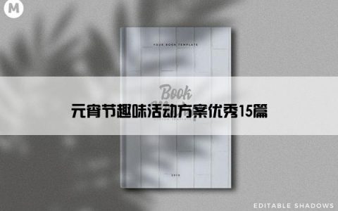 元宵节趣味活动方案优秀15篇