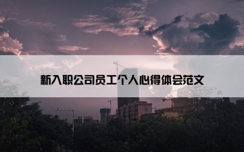 新入职公司员工个人心得体会范文