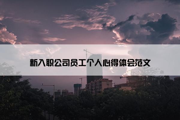 新入职公司员工个人心得体会范文