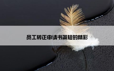 员工转正申请书简短的精彩
