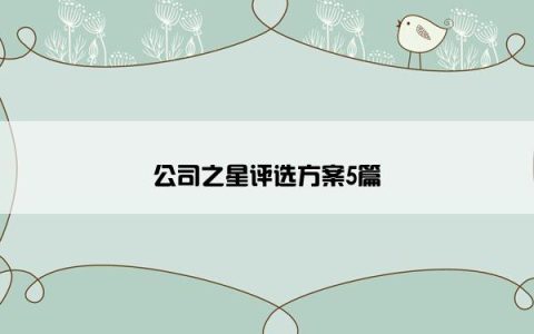公司之星评选方案5篇