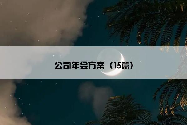 公司年会方案（15篇）