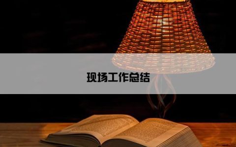 现场工作总结