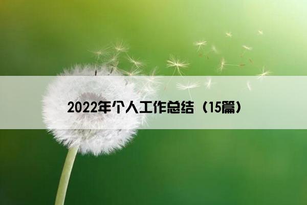2022年个人工作总结（15篇）