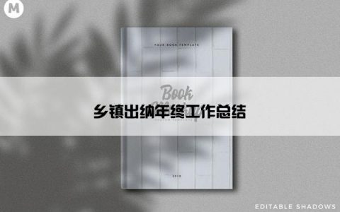 乡镇出纳年终工作总结